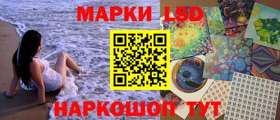 молекула духа Будённовск