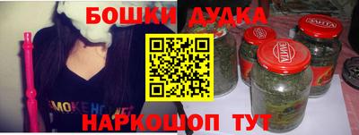 молекула духа Будённовск