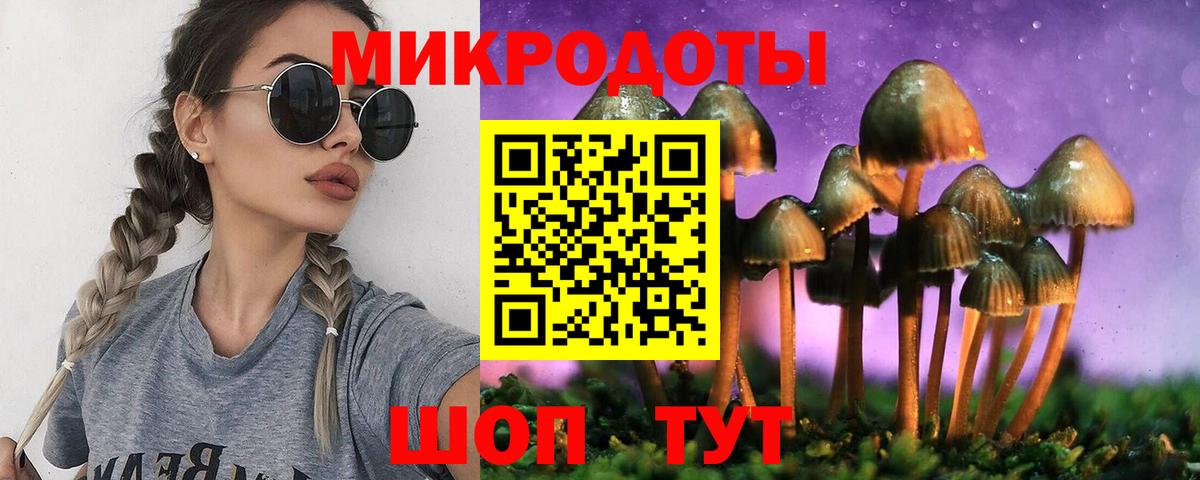 Псилоцибиновые грибы мухоморы Костомукша